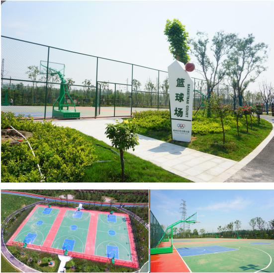 山东省体育中心匹克球场周末人气火爆新兴运动成市民休闲新宠(图1)